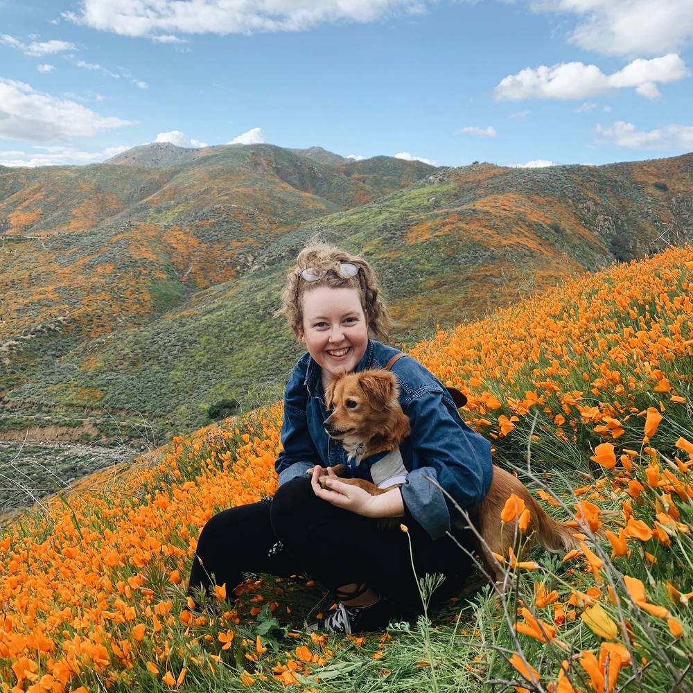 Meet your Posher, Abby